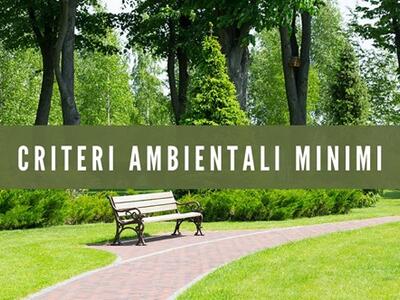 Alberi, cittadini e diritto, la svolta necessaria per la tutela del verde pubblico: il decalogo di Florida Nicolai di Associazione Arca