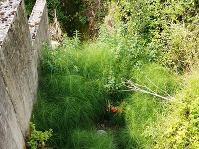 "Via del Casottino a Forno deteriorata dall'acqua": l'appello di Rifondazione Comunista Massa