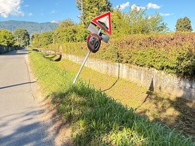 Poveromo, cresce il malcontento dei cittadini: incuria, vegetazione fuori controllo e rifiuti abbandonati