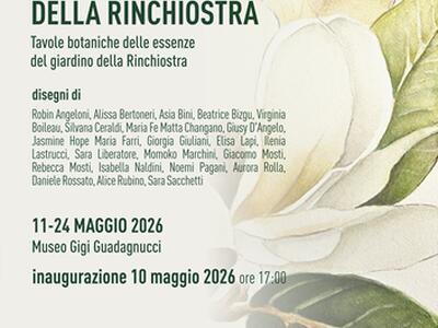 Gigi Guadagnucci e La Natura - Il Giardino Della Rinchiostra: Tavole botaniche delle essenze del giardino della Rinchiostra 11-24 maggio 2026