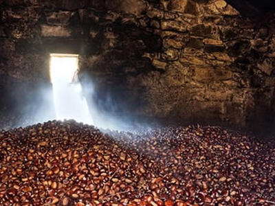 Castagneti al centro con la due giorni Slow Food. Venerdì e sabato a Filattiera