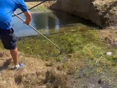 Sfalci abbandonati dal Consorzio di bonifica che vanno nei corsi d'acqua: Gabriele Ricciardi titolare della darsena del Cinquale "Chiudo la mia darsena, così capiranno il danno che causano ogni anno"