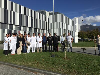 All’ospedale Apuane “Un albero per la salute” grazie ai Carabinieri del Raggruppamento Biodiversità e a FADOI