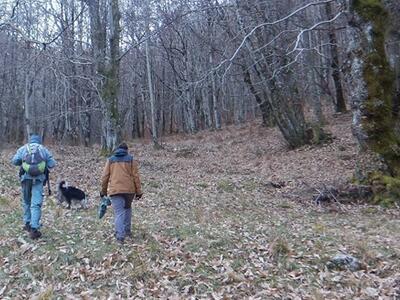 Peste Suina Africana: i Guardiaparco impegnati nelle ricerche attive di carcasse di cinghiale nel Parco delle Alpi Apuane