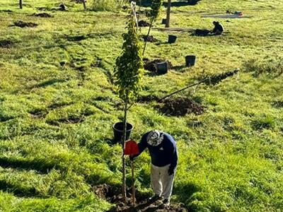 Ventotto Comuni e oltre 2.000 piante: torna il progetto dedicato ai 'nuovi nati' del Consorzio di Bonifica