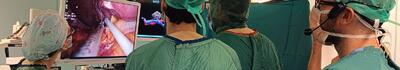 La chirurgia urologica dell'ospedale Apuane nel futuro  grazie ad un innovativo software di modellazione tridimensionale
