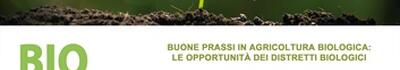 Presentazione del costituendo distretto biologico Terre Apuane: a Massa, il 3 maggio, nella manifestazione Spino Fiorito