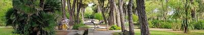 Chiuso il parco Puccinelli per lavori di manutenzione del verde