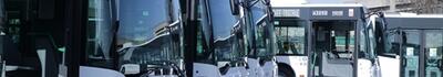 Tpl, Stella e Ferri: "Raccolta firme e gazebo Forza Italia contro aumento biglietti bus. Mozioni in tutti i Consigli comunali