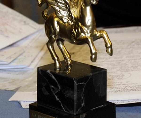 Furto con scasso all'ospedale Apuane: rubata la medaglia dell'onorificenza Pegaso d'oro