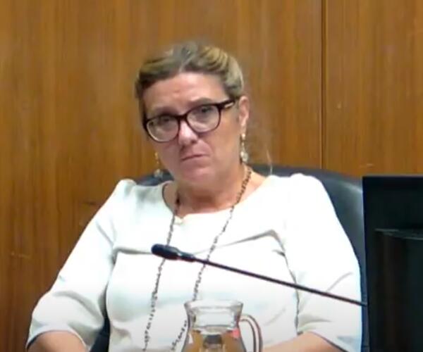 "La sentenza della Corte Costituzionale sulla filiera del marmo non cambia nulla dei regolamenti già approvati: lo sostiene il sindaco Arrighi ma ammette che gli uffici stanno valutando le ripercussioni del provvedimento