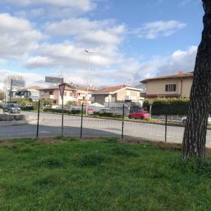 parco_avenza (3)