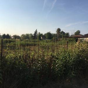 Sopralluogo Fantozzi-Baruzzo sui terreni incolti del Fossone