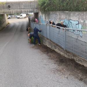 Bagaglione 1
