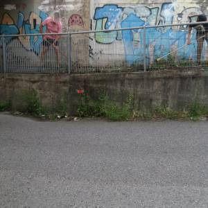 Bagaglione 3