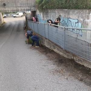 Bagaglione 5