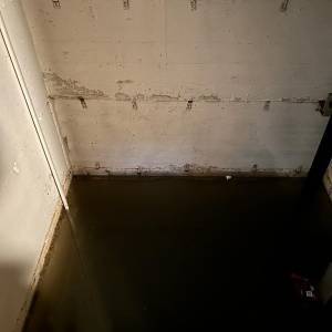 IMG-20240303-WA0019