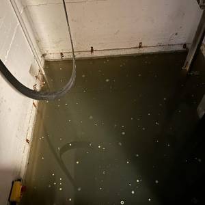 IMG-20240303-WA0020