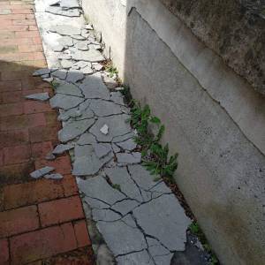 IMG-20240506-WA0020