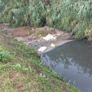 IMG-20241024-WA0043