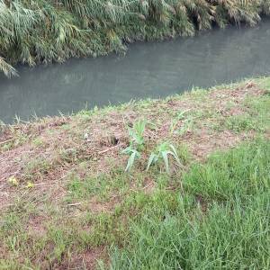 IMG-20241024-WA0055