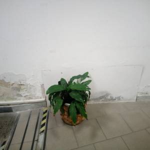 WhatsApp Image 2024-11-12 at 08.25.15 (1)