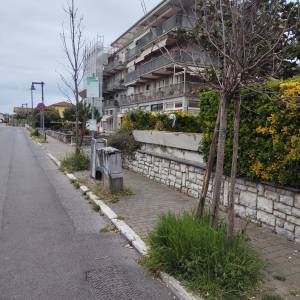 foto 4 IMG-20250415-WA0062