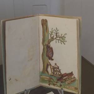 Dettaglio mostra