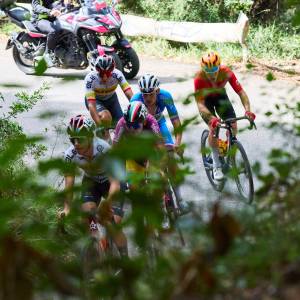 Giro della Lunigiana repertorio 2024 (2)