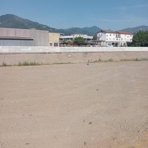 IMG-20250721-WA0010