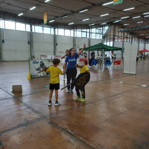 giocosport 1