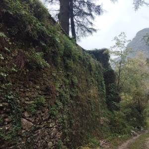 Immagine WhatsApp 2025-10-25 ore 20.16.28_9a50f3a1