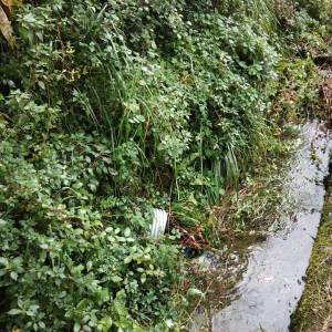 Immagine WhatsApp 2025-10-25 ore 20.17.18_4db1f2d7