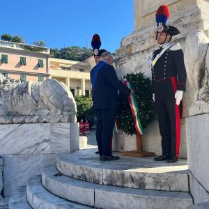 c6cc66e7-46c0-4d09-bb77-38332879efbd