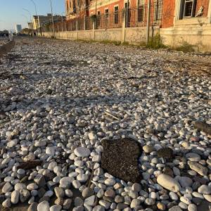 6715dc03-8e1d-4bb6-9255-08c0b66a73c7