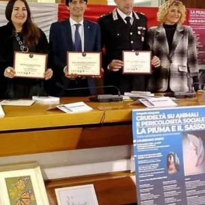 537da842-3b09-43a9-914a-235ce90f9e0d