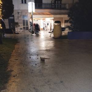 Ratto a Marina di Massa 2