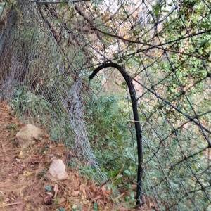 IMG_20251127_123453 (1)