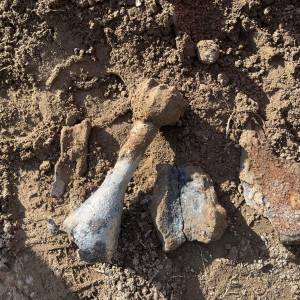 Bomba da mortaio a Montignoso 3