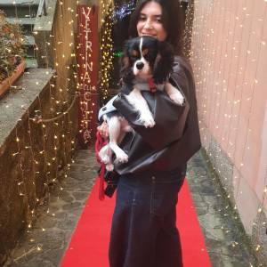 13d96454-65db-48ba-924b-925b84d7d01c