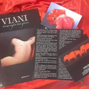 Mostra di Luciano Viani 8