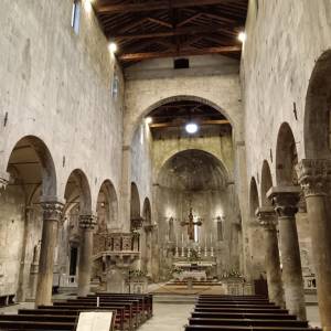 f2422559-03ac-46b1-a729-9e9e86d92caf