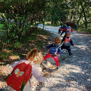 IMG_20241104_121438232_HDR