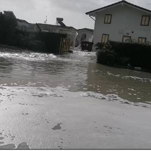 Bagno Ida Ronchi 3-11-23