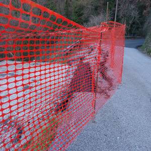 IMG_20260215_160036 (3)