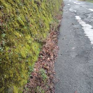 WhatsApp Image 2026-03-03 at 17.11.04