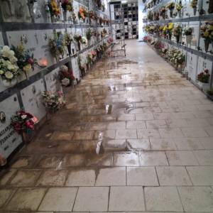 8fb9d06f-3294-4f2e-bb8d-aeedc736442b