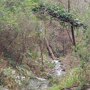 8c44a584-e793-4fd9-84b2-db36d813a782