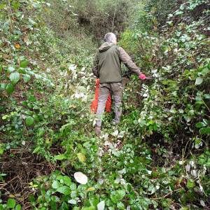 e5592b81-4aff-41da-b3cd-547d1ecae093