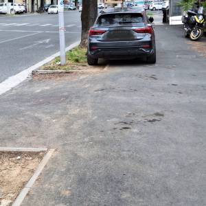 WhatsApp Image 2026-03-23 at 12.31.20 (1)